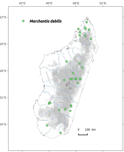 Figure  76.  Distribution  map  of  Marchantia  debilis  in  Madagascar,  based  on  the  specimens studied from EGR, PC and TAN herbarium and the authors’ collections