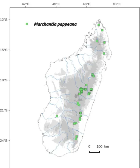 Figure 77. Distribution map of Marchantia pappeana in Madagascar, based on the  specimens studied from EGR, PC and TAN herbarium and the authors’ collections