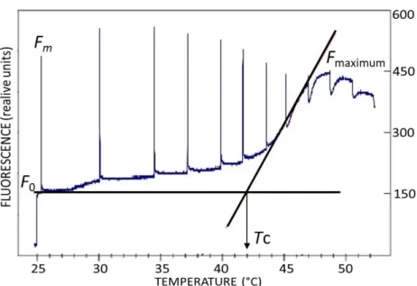 Figure 1. An example of F 0  vs. T curve where the temperature was increased at a  rate  of  1  °C  min –1   (Hill  et  al