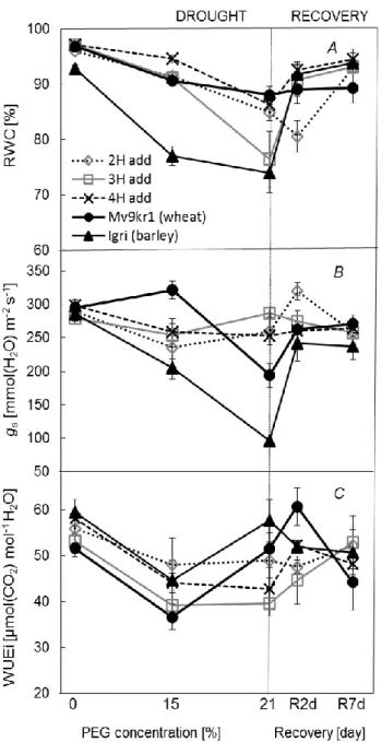 Figure 1. Effects of increasing osmotic stress followed by 7 days of regeneration  on  relative  water  content  (RWC)  (A),  stomatal  conductance  (g s )  (B),  intrinsic  water-use-efficiency (WUE i ) (C) under 1,000 mol (photon) m –2  s –1  light inte