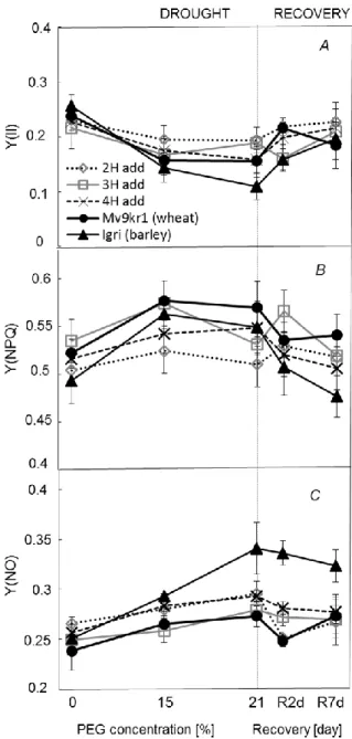 Figure 3. Effects of increasing osmotic stress followed by 7 days of regeneration  on  effective  quantum  yield  of PS  II  photochemistry  (Y(II))  (A),  quantum  yield  of  regulated energy dissipation (Y(NPQ)) (B), quantum yield of non-regulated energy