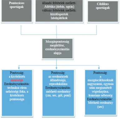 2. ábra. A különböző sportágak mozgásrendszertani besorolásaa pontosság és az  eredményszámítás tükrében