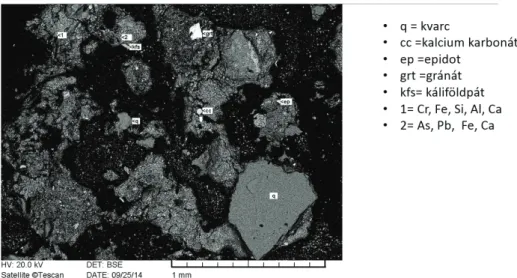 8. ábra: SEM-EDX felvétel a 21. mintavételi pont 1. talajszintjéből származó  mintáról