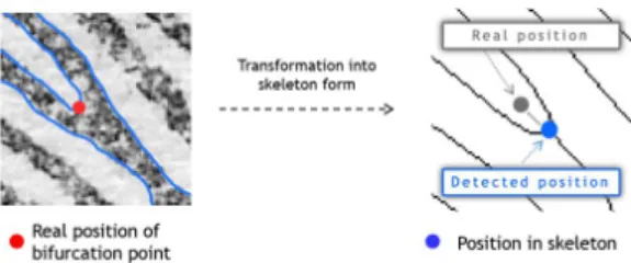 Figure 6: A problem of minutiae position shift in the skeleton image