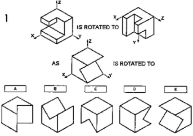 Figure 3: Example item for visualization of rotations test