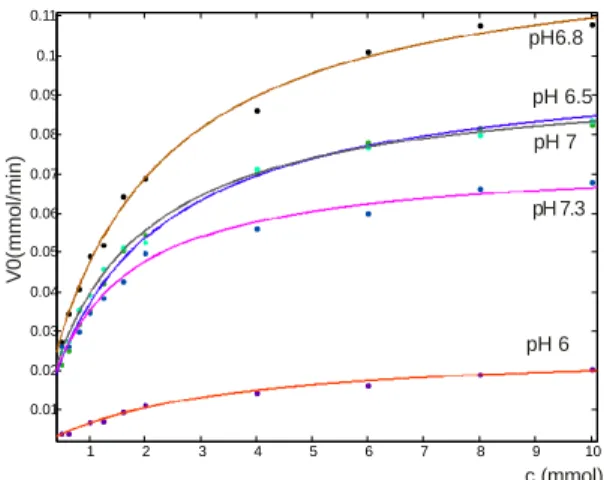 18. ábra: A reakciósebesség változása a szubsztrát koncentráció függvényében a 0-10  mmol koncentráció tartományban különböző pH viszonyok esetén