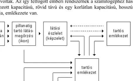 11. ábra: Az emberi információ-feldolgozó rendszer 