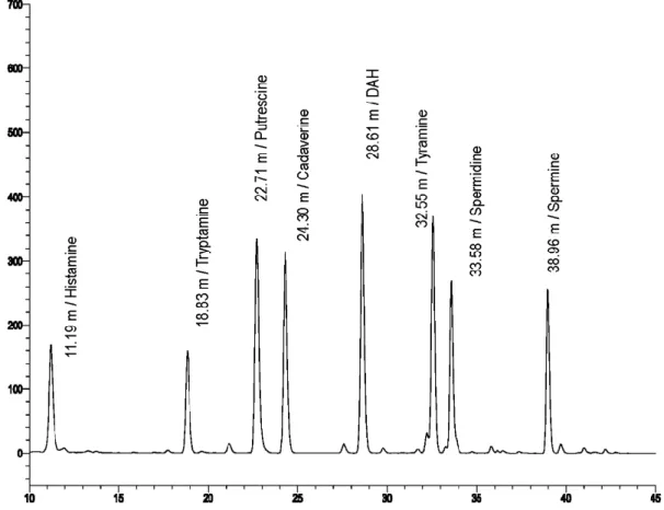 Figure 2.  Chromatogram o f the biogenic-amine reference solution with the highest con- con-centration detected with a diode-array detector at 336 nm.