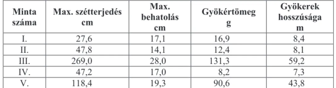 2. táblázat: Az Euonymus europaeus mintacserjék gyökérzetének max.  szétterjedése,  max