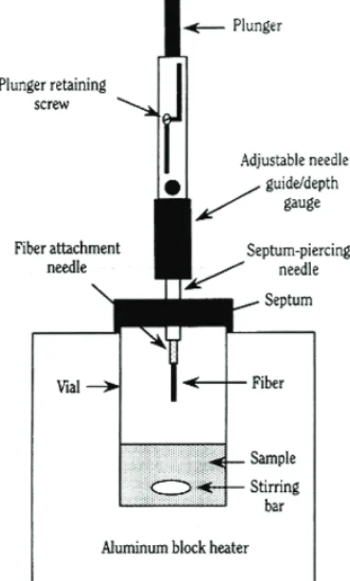 Fig. 1. SPME set up for measurement of aroma compounds 