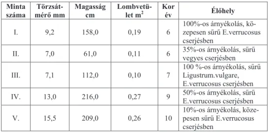 1. táblázat: Az Euonymus verrucosus mintacserjék méret, kor és élĘhely adatai  Minta  száma   Törzsát-mérĘ mm  Magasság cm  Lombvetü-let m2 Korév  ÉlĘhely  I