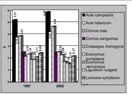 1. ábra: A magas cserjék átlagmagassága 1997- és 2002-ben 