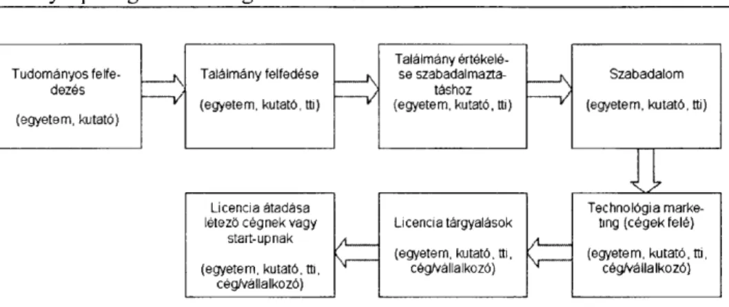 1. ábra: A technológia transzfer folyamata egyetem és vállalatok/vállalkozások  között (zárójelben az adott lépésben résztvevő felek) 