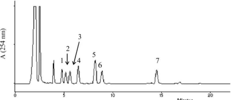 1. ábra: Standard minta HPLC-kromatogramja: 1-putreszcin, 2-kadaverin, 3-hisztamin,  4-belső standard, 5-tiramin, 6-spermidin, 7-spermin