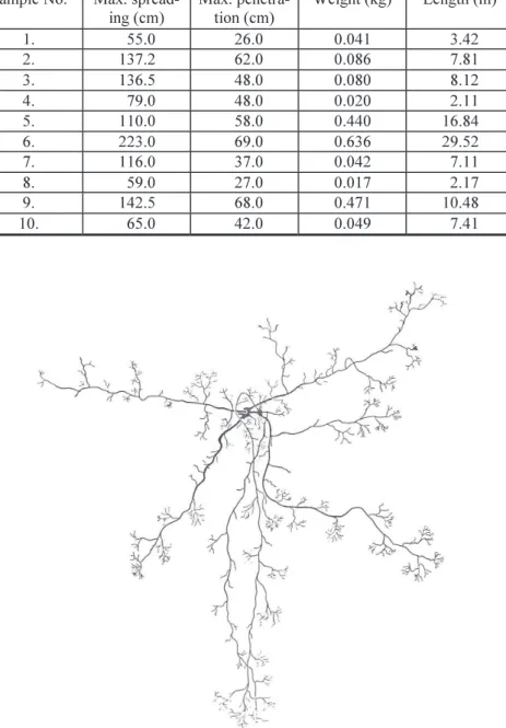 Table 2: Max. spreading and penetration of the roots of the sample shrubs  Crataegus monogyna and weight as well as length of roots thicker than 1 mm