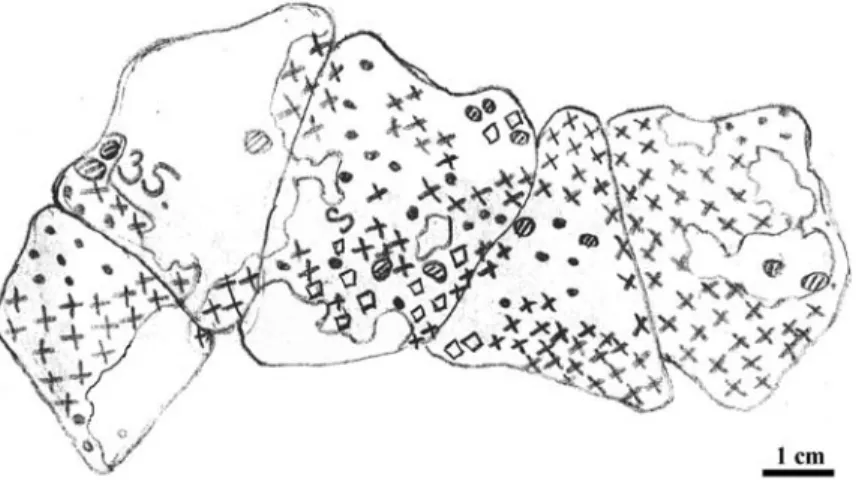 3. ábra: A Šolta szigetén gyűjtött 35. sz. abráziós kavics térképe 