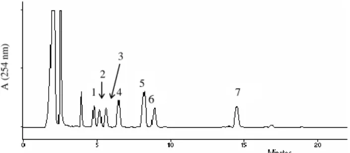 1. ábra: Standard minta HPLC-kromatogramja: 1-putreszcin, 2-kadaverin, 3-hisztamin,  4-belső standard, 5-tiramin, 6-spermidin, 7-spermin 
