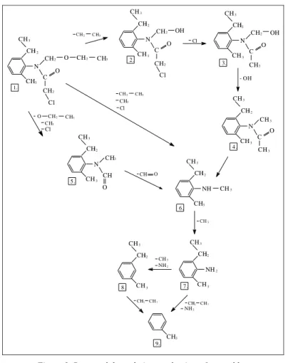 Figure 1. Proposed degradation mechanism of acetochlor. 