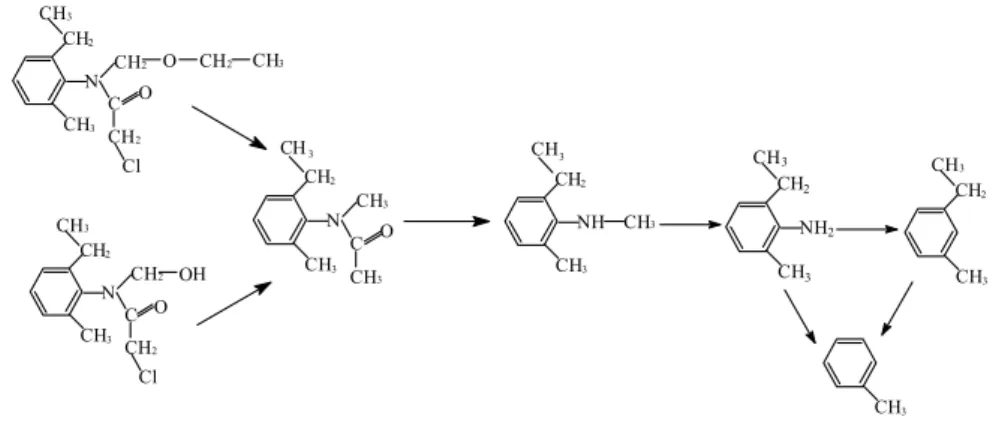 6. ábra: az acetoklór fotodegradációjának reakciómechanizmusa 