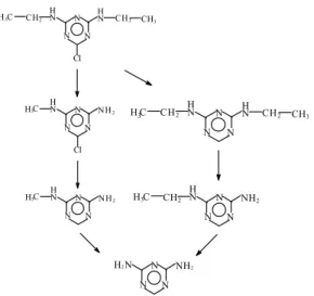 7. ábra: a simazin fotodegradációjának reakciómechanizmusa 