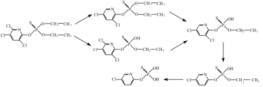 8. ábra: a karbendazim fotodegradációjának reakciómechanizmusa  4. Kinetikai vizsgálatok eredményei 