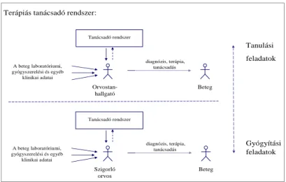 2. ábra: A szigorló orvos kettős szerepvállalása 