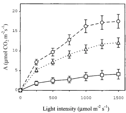 Fig. 3 Light  response  curves  of  photosynthesis  (assimilation  rate,  A)  for  intact  leaves  in 1996 from  different  settlements  adjacent  to  Lake  Balaton,  with  different  values  of  Rfd  (squares,  Rfd =0.95; triangles,  Rfd =  1.45; 