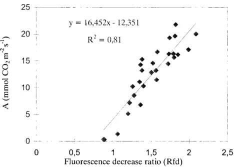 Fig. 4 Relationship  between  the  maximum  assimilation  rate  (A)  and  Rfd  values