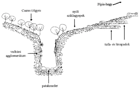 2. ábra: A Tarjánka-szurdok metszeti rajza (Kádár K. 1998 nyomán)  Fig. 2. The cross section view of the Tarjánka-gorge (After Kádár, K