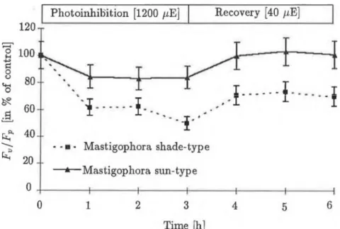 Fig.  1  Optimál quantum yield  (Fv/Fp)  of PS  II  duiing photoinhibition  (at  1200  //mol_ 2 s_1 )  and  recovery  (at  40  /ím ol~2 s_1)