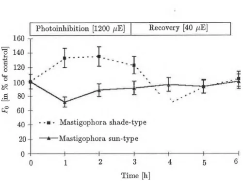 Fig.  4  Changes in initial fluorescence  level  (Fo)  during photoinhibition  (at  1200  /iE m - 2 s-1 )  and  recovery  (at  40  /anol-2  s- 1 )