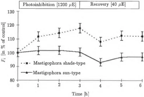 Fig.  5  Changes  in  intermediate  fluorescence  level  (Fi)  duxing  photo-  inhibition  (at  1200  /im ol- 2 s_1 )  and  recovery  (at  40  fiE m '2  s- 1 )
