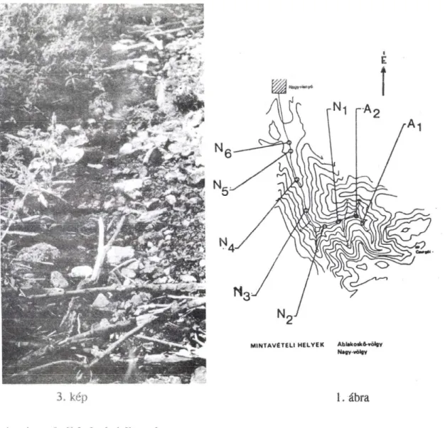 3. kép  l.ábra A mintavételi  helyek  jellemzése