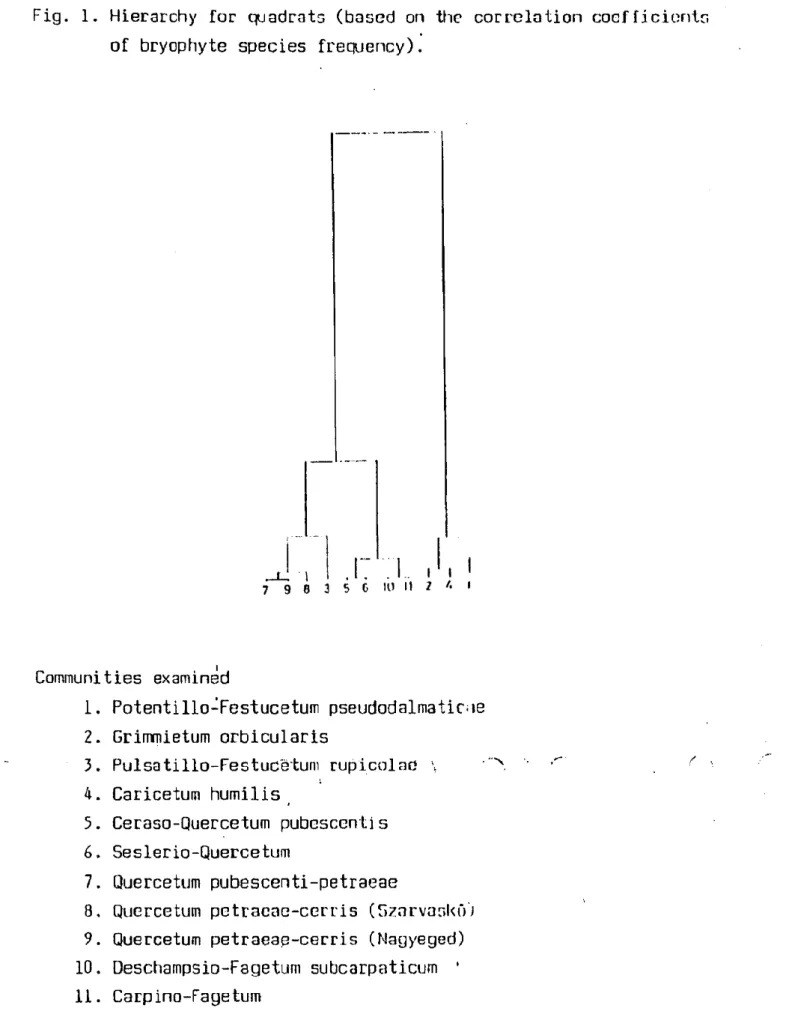 Fig.  1.  Hierarchy  fór  quadrats  (based on  the  corrclation coefficients