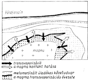 6. ábra  Minőségi átalakulás a vulkánikus  kon-taktudvarban. A magma  metamorfizál-ja a környezet üledékes kőzeteit, ámde 