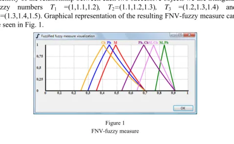 Figure 1  FNV-fuzzy measure 