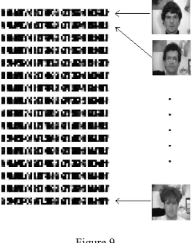 Fig. 9 represents a sample of HLO images for 16 subjects of the MIT face  database from Fig