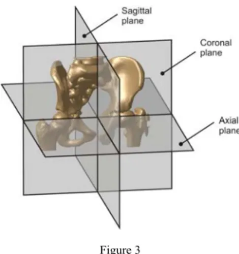 Figure 3  Basic anatomical planes 