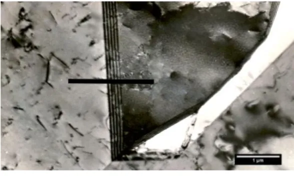 Fig.  14  shows  substructure  of  the  experimental  steel  after  solution  annealing  observed  using  thin  foils