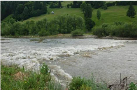 Figure 1. River Bistrica in Romania 2011                                                             