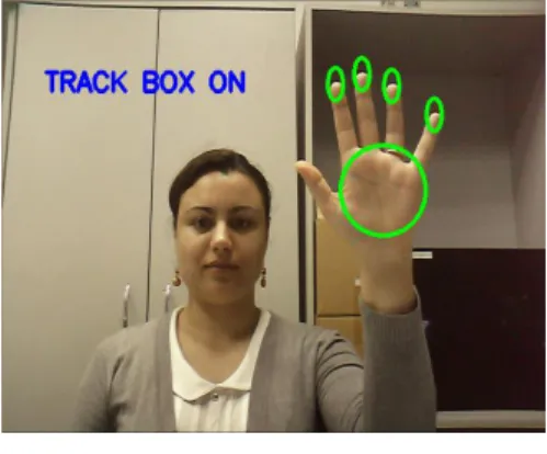 Figure 1  The fingertip detection stage 