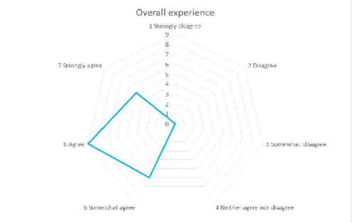 Figure 13  Overall experience assessment