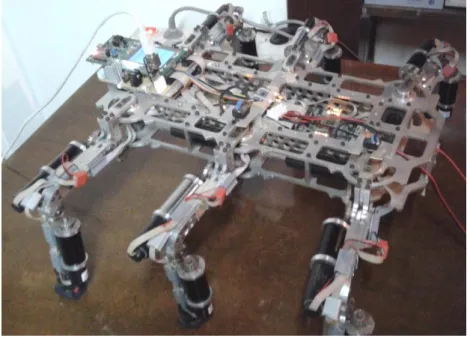 Figure 1  Szabad(ka)-II hexapod robot 