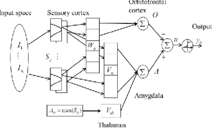 Fig. 1 shows a FBELC  model  with six spaces: the sensory input, sensory cortex,  thalamus,  orbitofrontal  cortex,  amygdala,  and  the  output  space