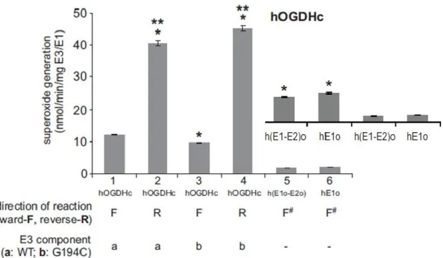 8. ábra (Fig. 4 [cikkben]) Az in vitro összeépített hKGDHk (hOGDHc az ábrán), a h(E1k-E2k) alkomplex  (h(E1o-E2o) az ábrán), illetve a hE1k alegység (hE1o az ábrán) ROS-képzésének vizsgálata