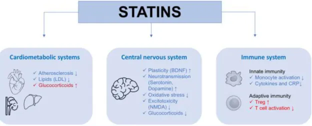 2. ábra A statinok potencális antidepresszív hatásának lehetséges mechanizmusai [19]