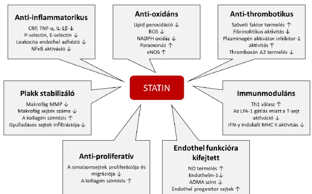 10. ábra. A statinok non-lipid (pleiotróp) hatásai (Bedi és mtsai módosított ábrája)  [126] 