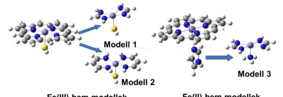 5. ábra Hemrendszerek vizsgált  modelljai (szürke: szén, fehér:  hidrogén, piros: oxigén, kék: 
