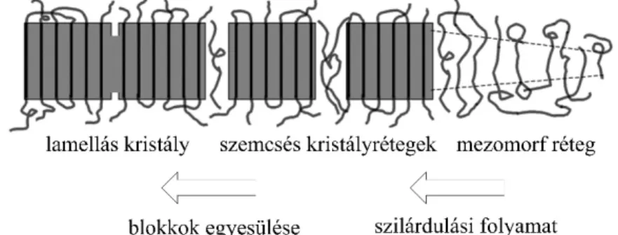 3. ábra A Strobl-modell szerinti polimerlánc rendez ő dési folyamata   kristályosodás során [14] 