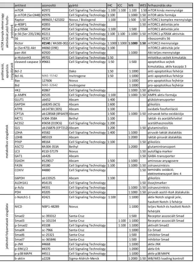 5. Táblázat A különböző módszerekben (immunhisztokémiai festések - IHC, immuncitokémia - ICC,  Western blot - WB, Wes Simple WES) felhasznált ellenanyagok listája, azonosítói és adott módszer  esetében alkalmazott hígítása 
